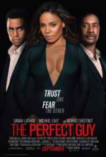 Watch The Perfect Guy Vumoo