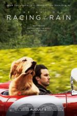 Watch The Art of Racing in the Rain Vumoo