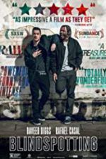 Watch Blindspotting Vumoo
