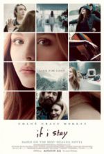 Watch If I Stay Vumoo