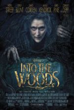 Watch Into the Woods Vumoo