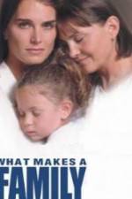 Watch What Makes a Family Vumoo