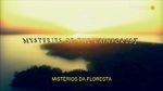 Watch Mysteries of the Rainforest Vumoo