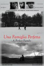 Watch A Perfect Family Vumoo