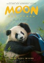 Watch Moon le panda Vumoo