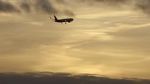 Watch The Man Who Fell from the Sky Vumoo