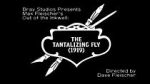 Watch The Tantalizing Fly (Short 1919) Vumoo
