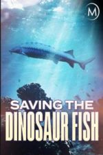 Watch Saving the Dinosaur Fish Vumoo