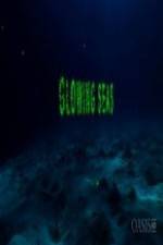 Watch Glowing Seas - Diving at Hatshepsut's Harbour Vumoo