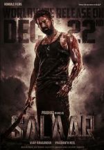 Watch Salaar Vumoo