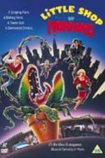 Watch Little Shop of Horrors Vumoo