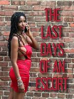 Watch The Last Days of an Escort Vumoo