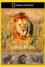 Watch National Geographic: Super Pride Africa\'s Largest Lion Pride Vumoo