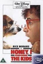 Watch Honey, I Shrunk the Kids Vumoo