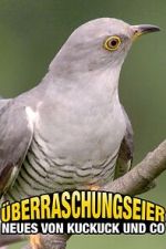Watch Überraschungseier: Neues von Kuckuck und Co. Vumoo