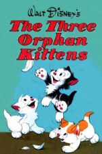 Watch Three Orphan Kittens Vumoo