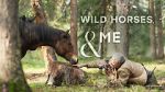 Watch Wild Horses, the Rockies and Me (TV Special 2025) Vumoo