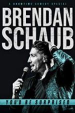 Watch Brendan Schaub: You\'d Be Surprised Vumoo