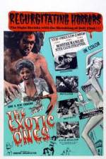 Watch The Exotic Ones Vumoo