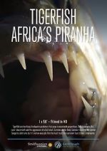 Watch Tigerfish Vumoo