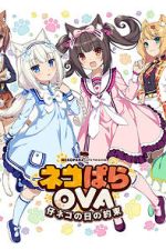 Watch Nekopara OVA Extra Vumoo