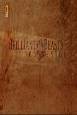 Watch National Geographic Brilliant Beasts Dog Genius Vumoo