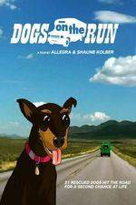 Watch Dogs on the Run Vumoo