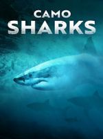Watch Camo Sharks Vumoo