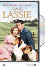 Watch Son of Lassie Vumoo