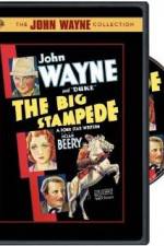 Watch The Big Stampede Vumoo