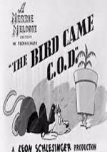 Watch The Bird Came C.O.D. (Short 1942) Vumoo