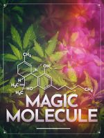 Watch Magic Molecule Vumoo