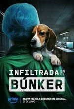 Watch Infiltrada en el búnker Vumoo