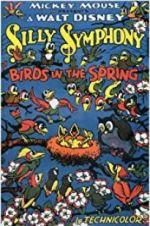 Watch Birds in the Spring Vumoo