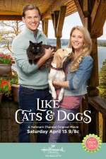 Watch Like Cats and Dogs Vumoo