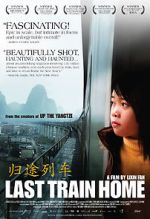Watch Last Train Home Vumoo