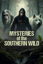 Watch Mysteries of the Southern Wild Vumoo