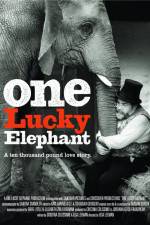 Watch En lycklig elefant Vumoo