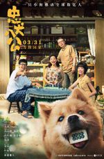 Watch Hachiko Vumoo