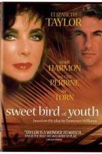 Watch Sweet Bird of Youth Vumoo