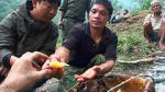 Watch Hallucinogen Honey Hunters (Short 2011) Vumoo