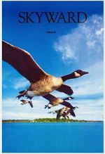 Watch Skyward Vumoo