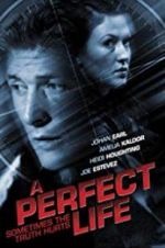 Watch A Perfect Life Vumoo