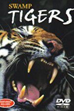 Watch Swamp Tigers Vumoo