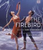 Watch The Firebird Vumoo