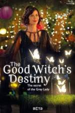 Watch The Good Witchs Destiny Vumoo