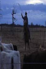 Watch Cowboy Christmas Vumoo