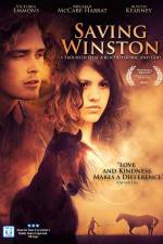 Watch Saving Winston Vumoo