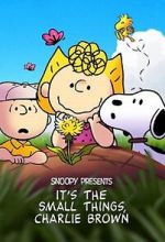 Watch Snoopy Presents: It's the Small Things, Charlie Brown (TV Special 2022) Vumoo