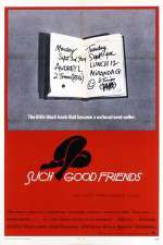 Watch Such Good Friends Vumoo